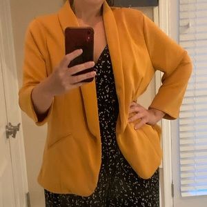 Stitch Fix Skies Are Blue XXL Velvet Blazer